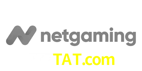 NetGaming